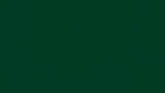  Фасад из акрила 060 Dark Green (Темно-зеленый)