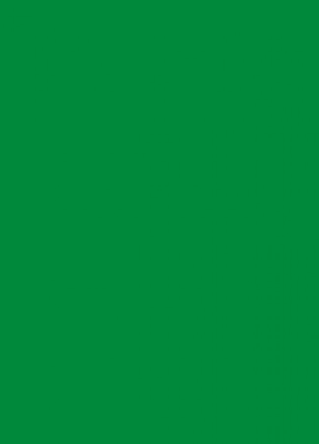 Фасады Фасад из акрила 062 Light green (Светло-зеленый) на заказ в Феодосии фотография