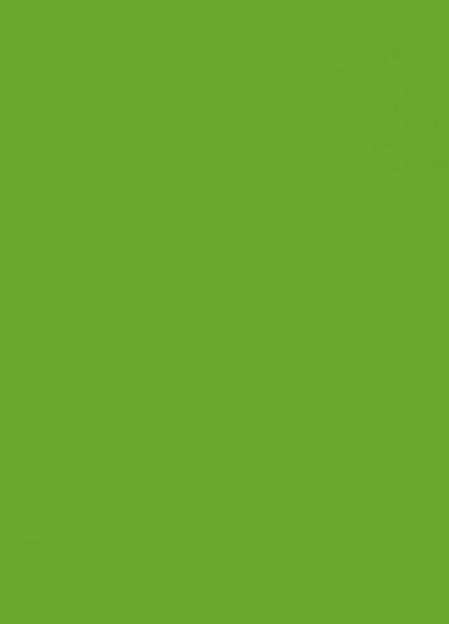 Фасады Фасад из акрила 063 Lime-tree green (Липово-зеленый) на заказ в Феодосии Фасады Фасад из акрила 063 Lime-tree green (Липово-зеленый) на заказ в Феодосии фотография