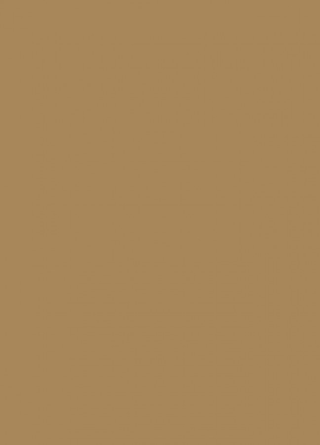 Фасады Фасад из акрила 081 Light brown (Светло-коричневый) на заказ в Феодосии Фасады Фасад из акрила 081 Light brown (Светло-коричневый) на заказ в Феодосии фотография