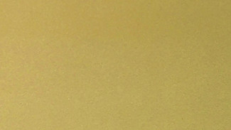  Goldensen